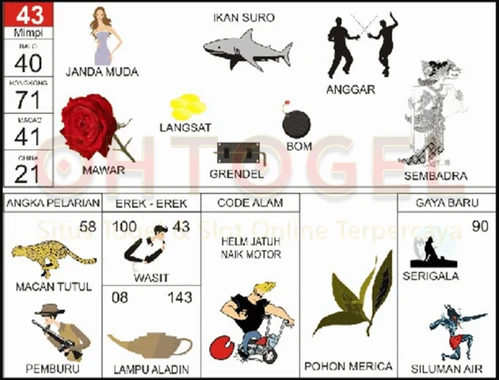 buku mimpi erek erek togel 43