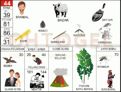 buku mimpi erek erek togel 44