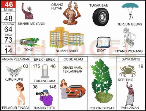 buku mimpi erek erek togel 46