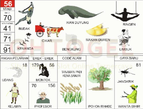 buku mimpi erek erek togel 56